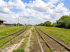 min 637 5.jpg